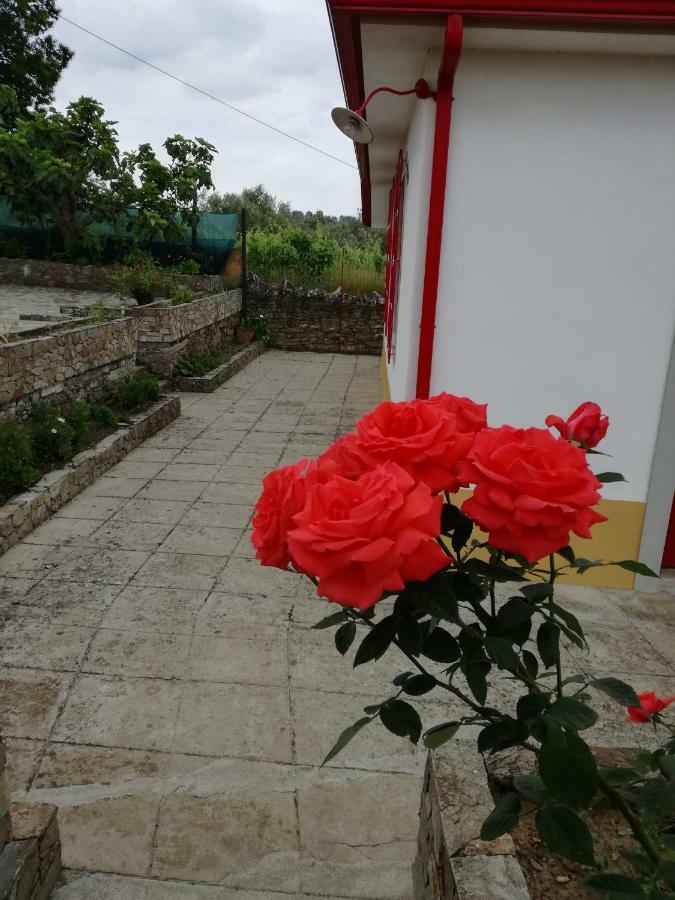 Casa Da Vinha Grande Hotell Poiares Eksteriør bilde